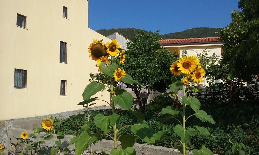 Il Giardino Di Julia B&B Tortora Zewnętrze zdjęcie