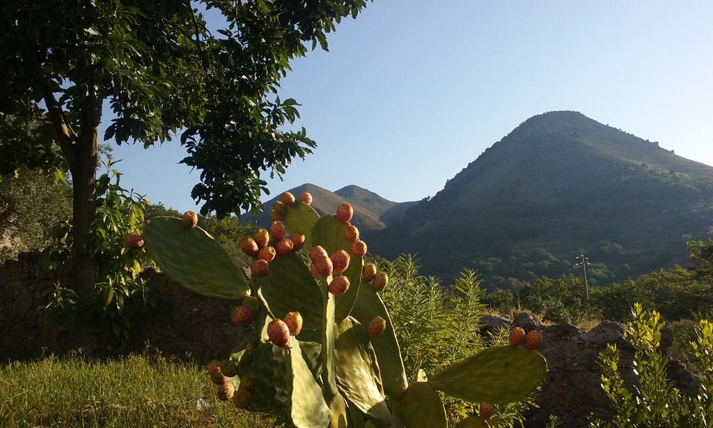 Il Giardino Di Julia B&B Tortora Zewnętrze zdjęcie