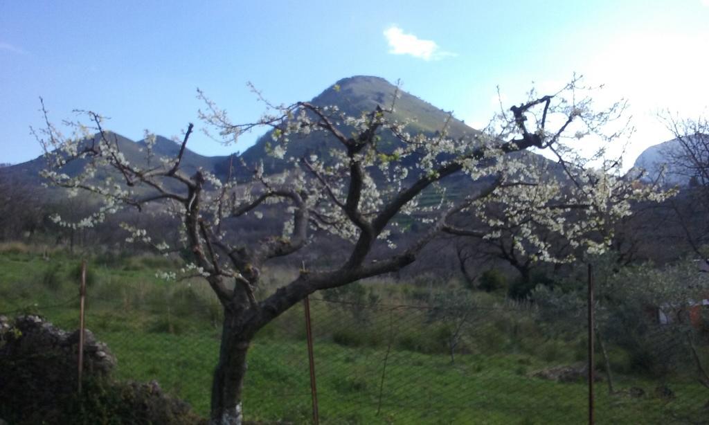 Il Giardino Di Julia B&B Tortora Zewnętrze zdjęcie