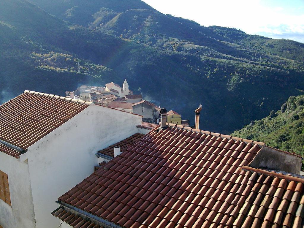 Il Giardino Di Julia B&B Tortora Zewnętrze zdjęcie