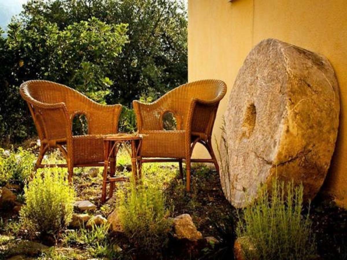 Il Giardino Di Julia B&B Tortora Zewnętrze zdjęcie