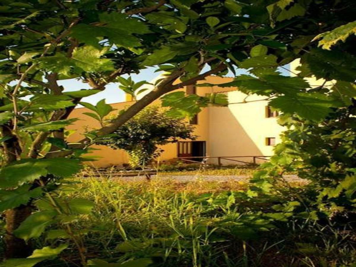 Il Giardino Di Julia B&B Tortora Zewnętrze zdjęcie