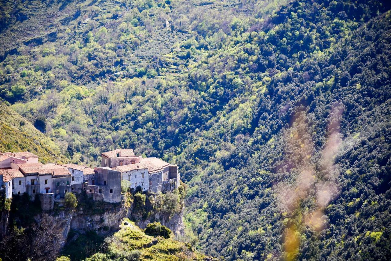 Il Giardino Di Julia B&B Tortora Zewnętrze zdjęcie