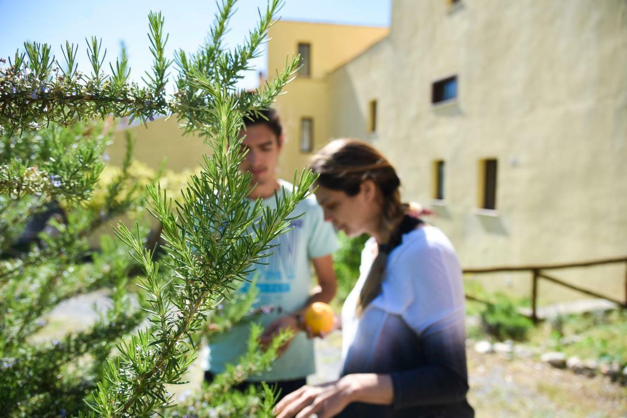 Il Giardino Di Julia B&B Tortora Zewnętrze zdjęcie
