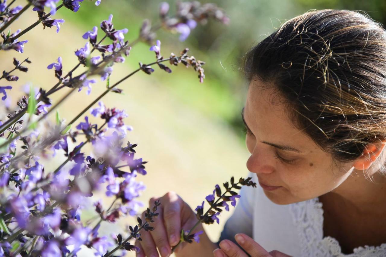 Il Giardino Di Julia B&B Tortora Zewnętrze zdjęcie