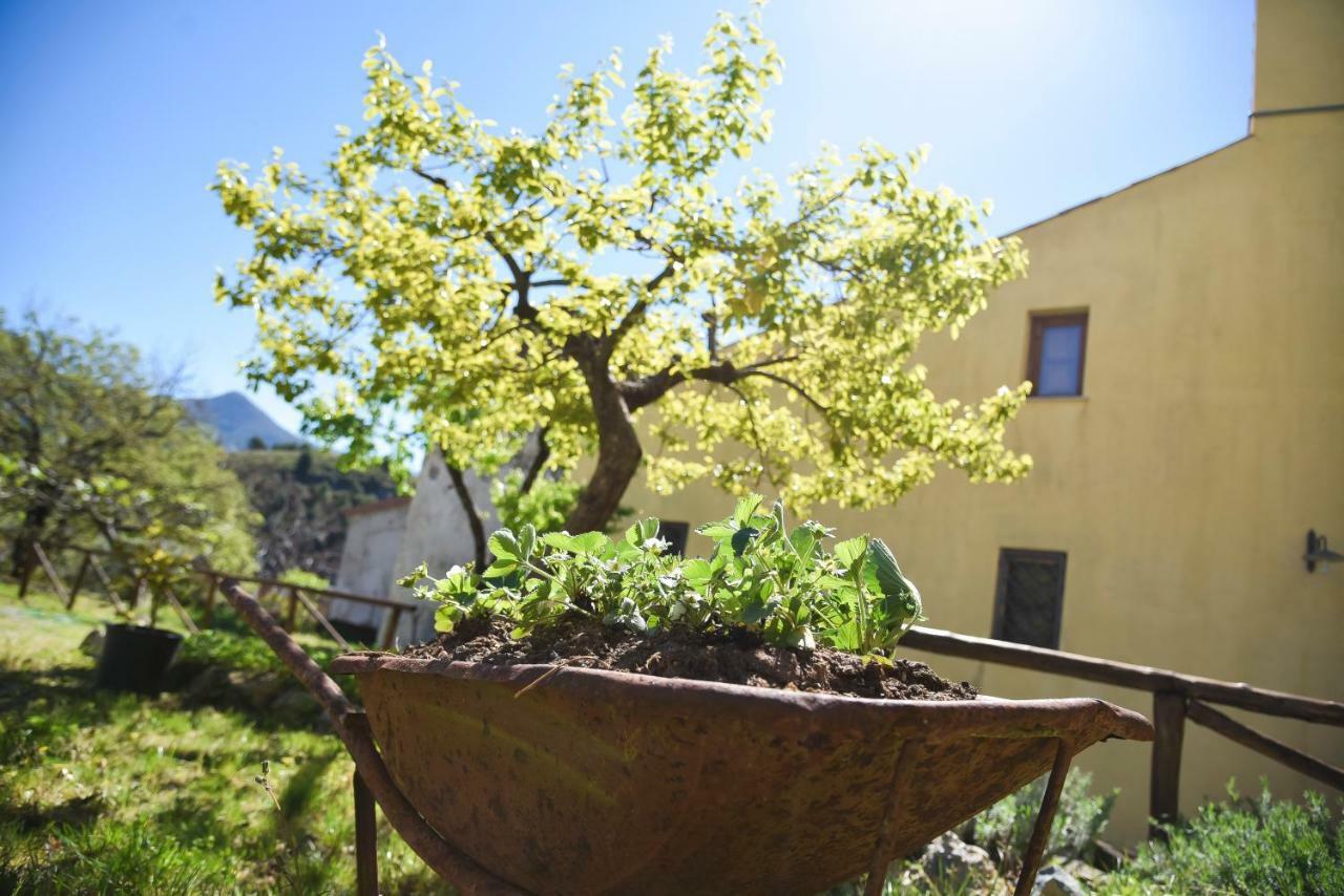 Il Giardino Di Julia B&B Tortora Zewnętrze zdjęcie
