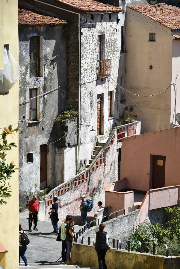 Il Giardino Di Julia B&B Tortora Zewnętrze zdjęcie